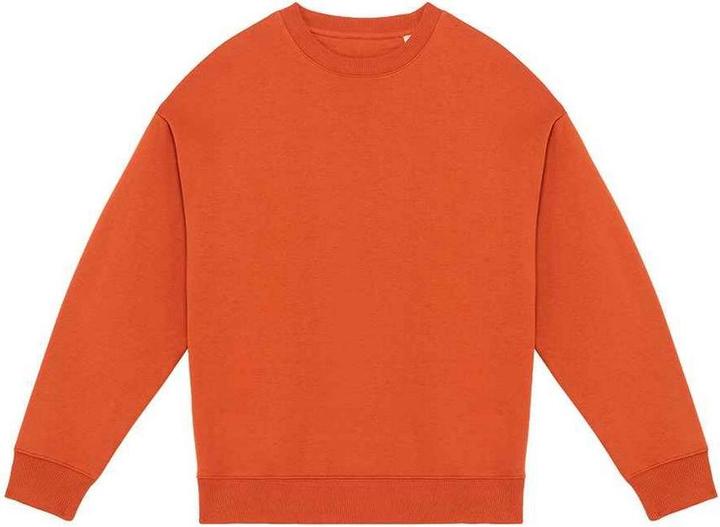 Native Spirit Sweatshirt (XXL)