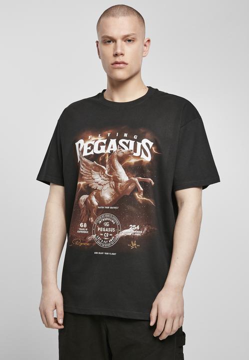 Image du produit MT Tee-shirt oversize Pegasus (L)
