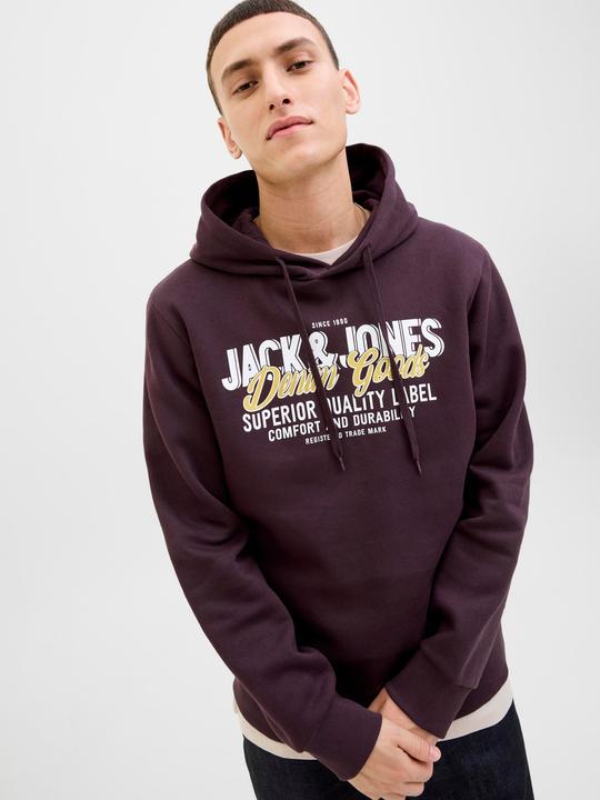 Immagine prodotto Jack & Jones JJELOGO SWEAT HOOD 2 COL 25/26 NOOS (XS)