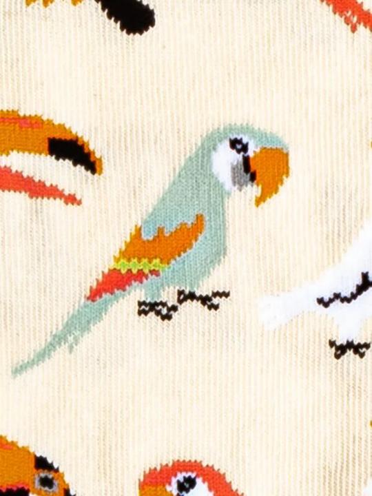 Actual product image DillySocks Sand Aviary (Single pack, One size)