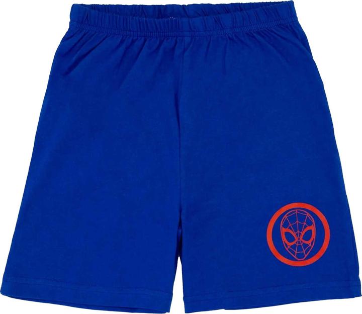 Actual product image Spiderman Boys Contrast Short Pyjama Set (128)