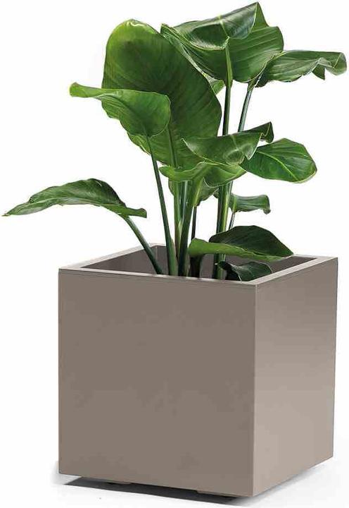 Productafbeelding Euro3plast Bloembak (39.50 cm)