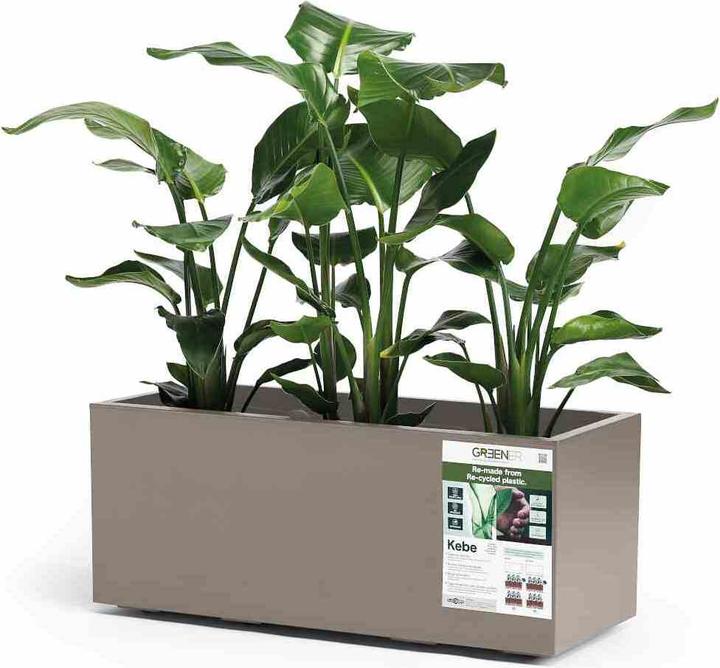 Actual product image Euro3plast Planter box (39.50 cm)