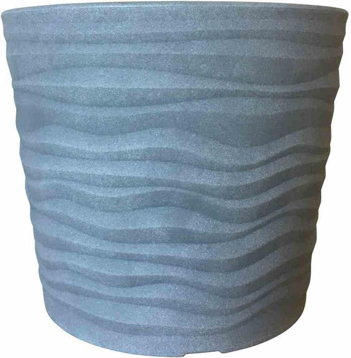 Gris