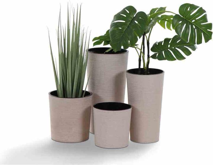 Actual product image Siena Garden ECO Locon (25 cm)