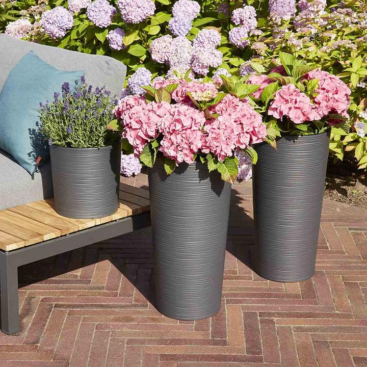 Productafbeelding Siena Garden Modern (30 cm)