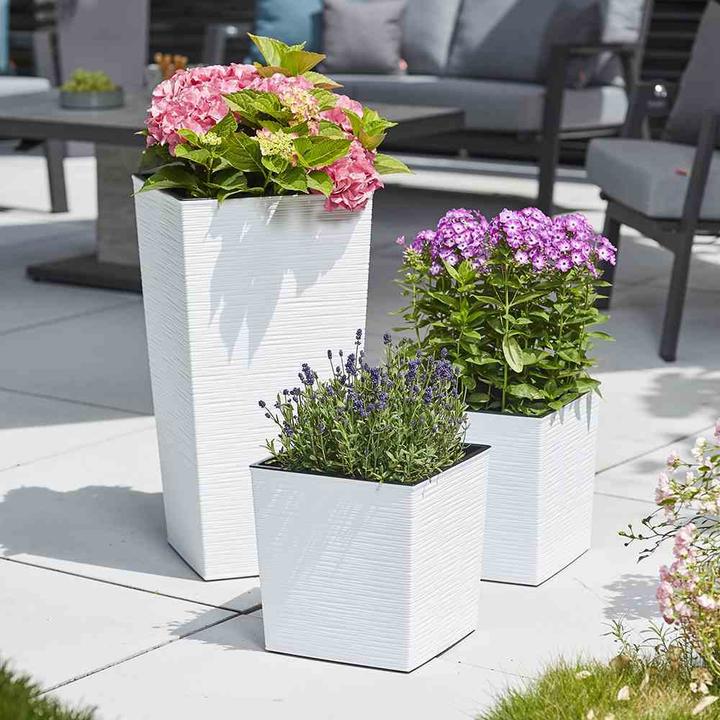 Actual product image Siena Garden Modern (25 cm)
