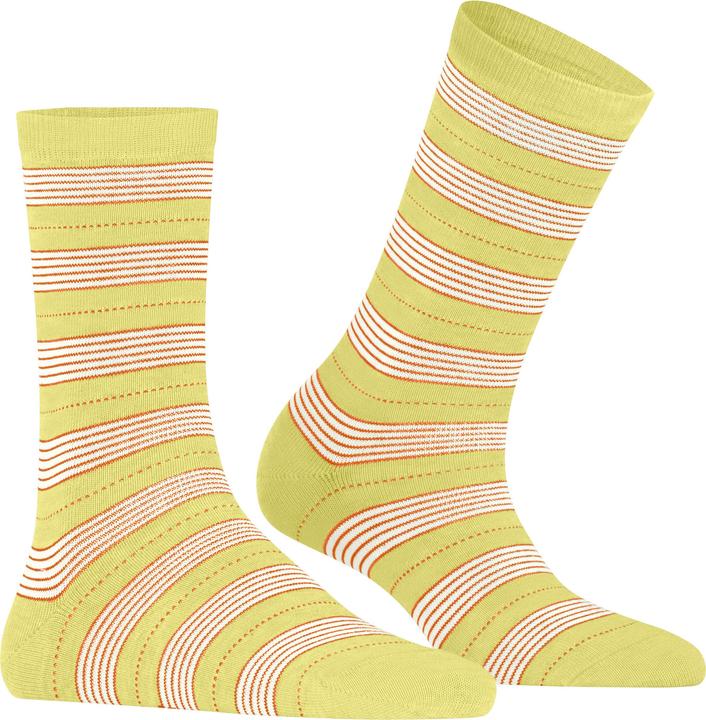 Produktbild Falke Stripe Uniform SO (39 - 42)