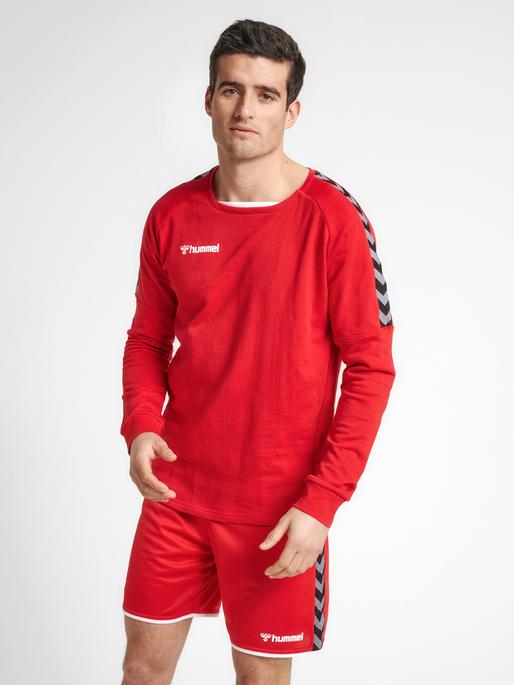 Actual product image hummel Authentic Training Sweat (3XL)