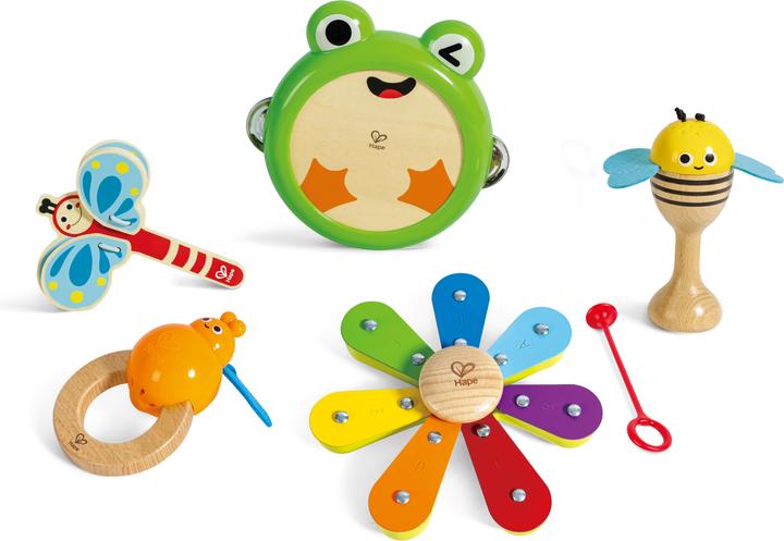 Actual product image Hape Nature rhythm kit (German)