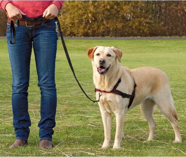 Image du produit Trixie Harnais d'entraînement Lead n Walk L-XL (L, XL, Chien, Général)