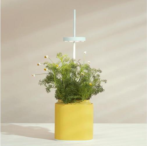 Image du produit Prêt à Pousser Pot pour herbes aromatiques Nano, Mimosa Yellow (13.50 cm)