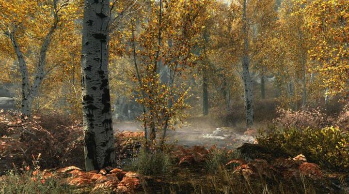Image du produit Bethesda The Elder Scrolls : Skyrim - Édition spéciale (PS4, Multilingue)