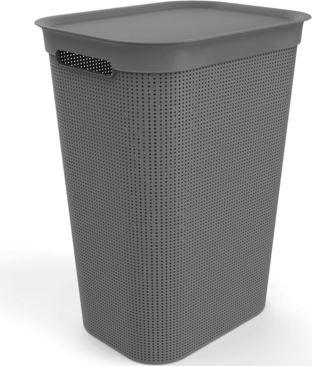 Rotho Breezes 1 (50 l)