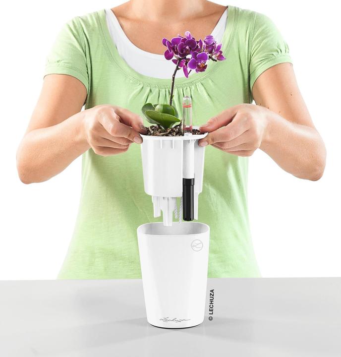 Actual product image Lechuza Mini Deltini (10 cm)