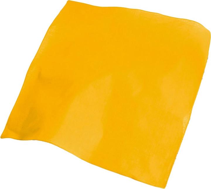 Atlantis Goal Bandana