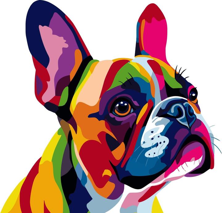 Produktbild Colorelle Malen nach Zahlen: Französische Bulldogge Pop Art