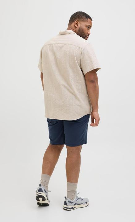 Produktbild Jack & Jones Plus Size Regular Fit Chino Shorts Chino Shorts (42)