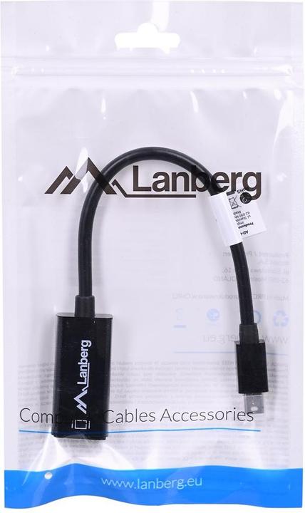 Actual product image Lanberg Mini DP zu (Mini DP, 20 cm)