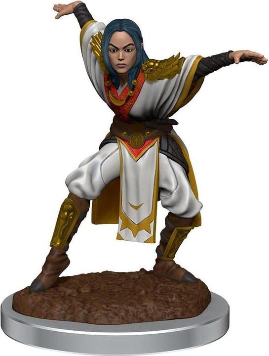 Produktbild Wizkids Pathfinder Battles Deep Cuts pack 2 miniatures à peindre Half-Elf Monk Female (carton de 2)