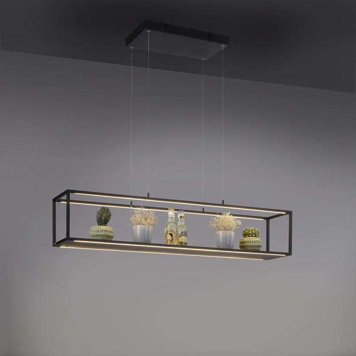 Produktbild Paul Neuhaus Contura (850 lm)