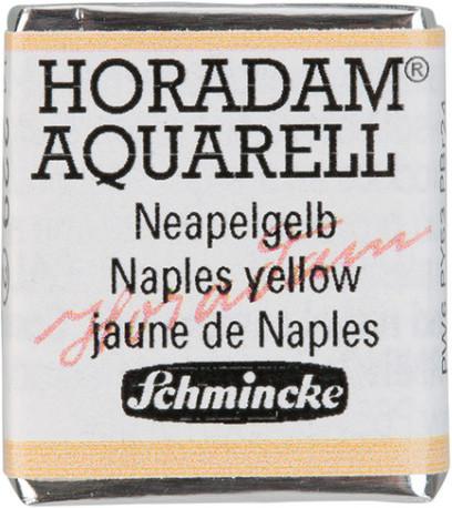 Image du produit Schmincke Aquarelle 1/2 godet JAUNE DE NAPLES GR2 (JAUNE DE NAPLES GR2)