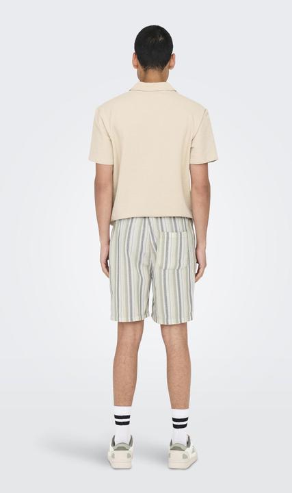 Actual product image Only & Sons ONSTREV Mittlere Taille Normal geschnitten Shorts Sweat-Shorts (L)