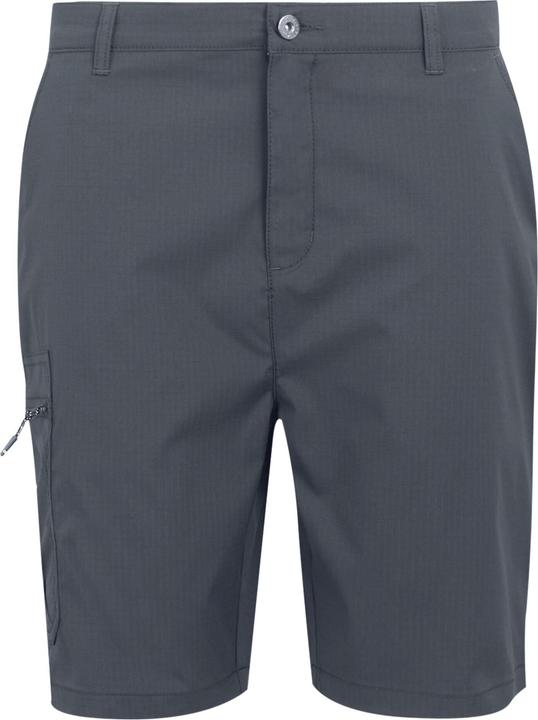 Regatta Dalry Shorts