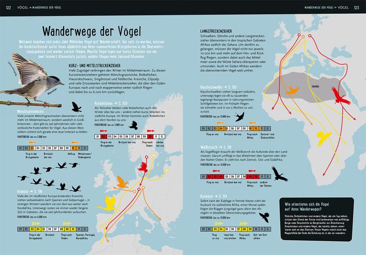 Produktbild Kosmos Mein Kosmos-Buch Natur (Deutsch, Bärbel Oftring, 2023)