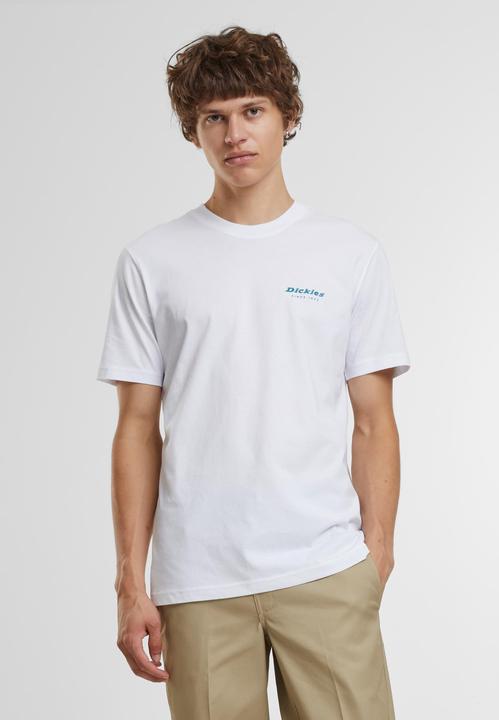 Immagine prodotto Dickies Maglietta Clackamas Box - 125445 (S)