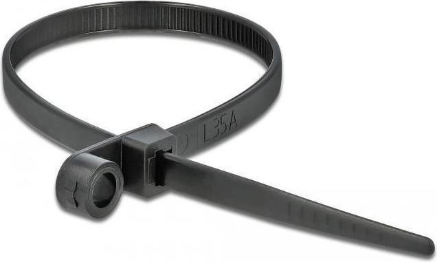 Image du produit Delock Cable tie avec oeillet de fixation (300 mm, 10 pcs)