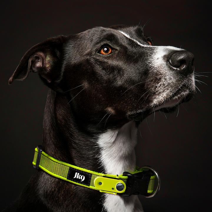 Produktbild Tickless Outdoor Collar Hundehalsband Gelb (Hund)