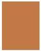 Actual product image Estée Lauder Bronze Goddess (03 Medium Deep, Bronzer, 21 g)