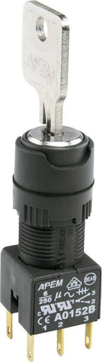 Actual product image APEM Rotary Switch 2 Positions