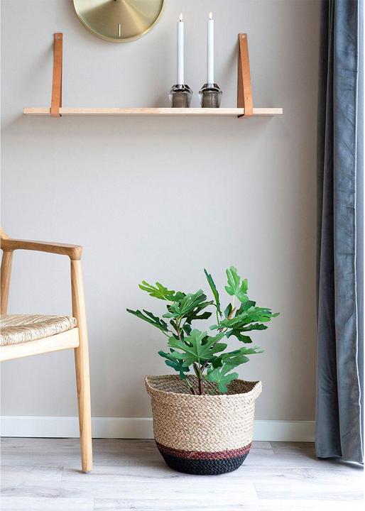 Actual product image House Nordic Fig (60 cm)