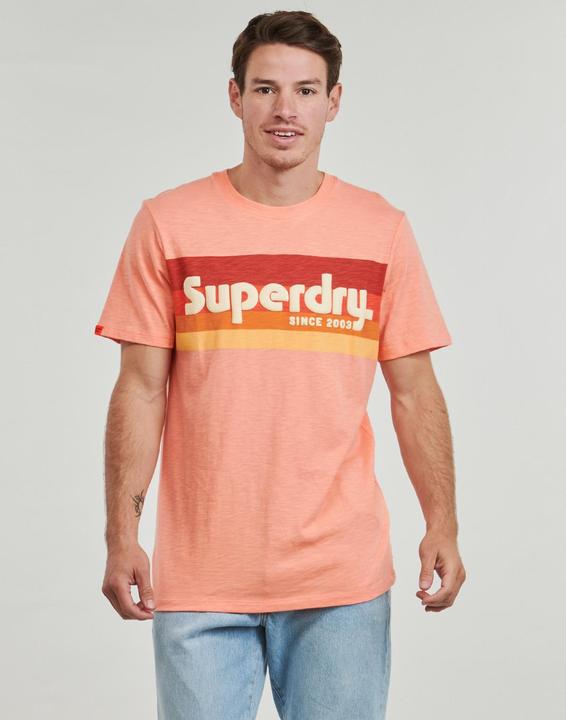 Actual product image Superdry Terrain Logo Stripe Relxed Tee (M)