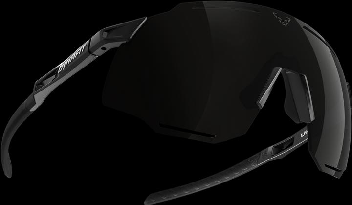 Produktbild Dynafit Alpine Sonnenbrille Unisex