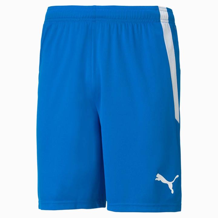 Produktbild Puma teamLIGA Shorts-704924 (S)