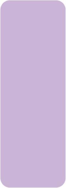 Produktbild Niimbot Naklejki Termiczne 14x40 160 szt. (Purpurowe)