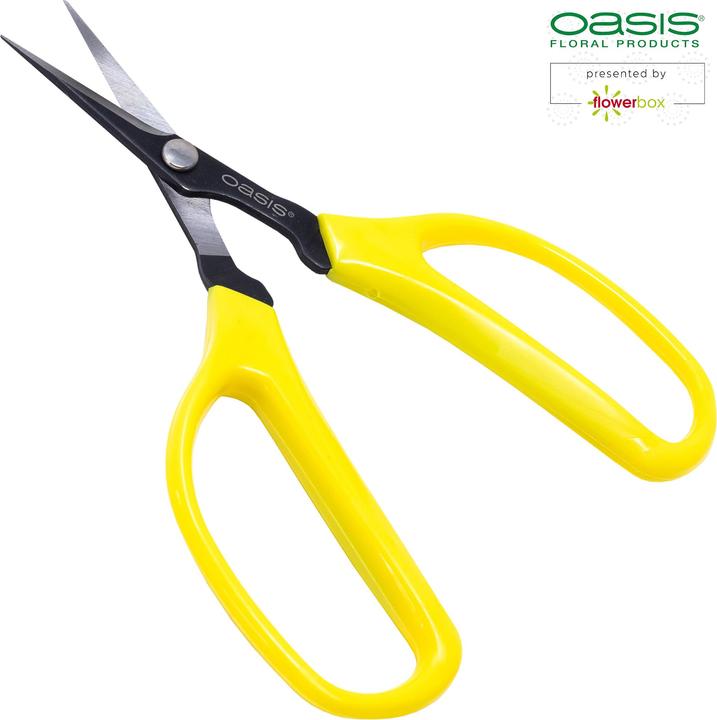 Produktbild Oasis Bonsai & Pinzierschere