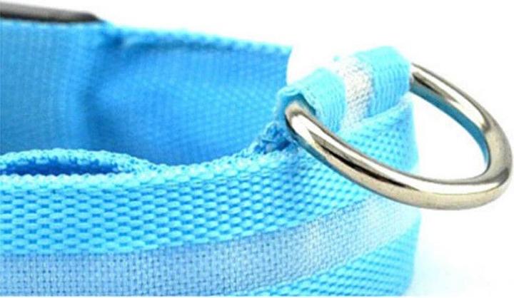 Actual product image Cbx Rechargeable LED dog collar size L - 46-50cm (L, Dog)