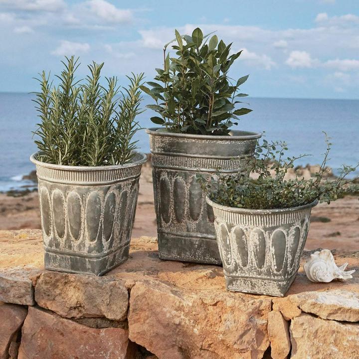 Actual product image Loberon Cachepot set of 3 Bakersfield antique silver (25.50 cm)