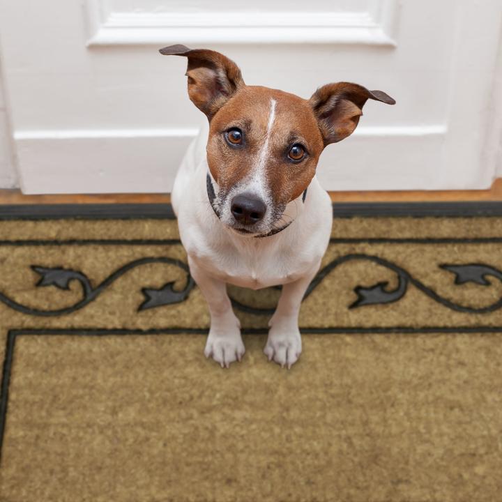 Actual product image Relaxdays Doormat large (90 x 60 x 2 cm)
