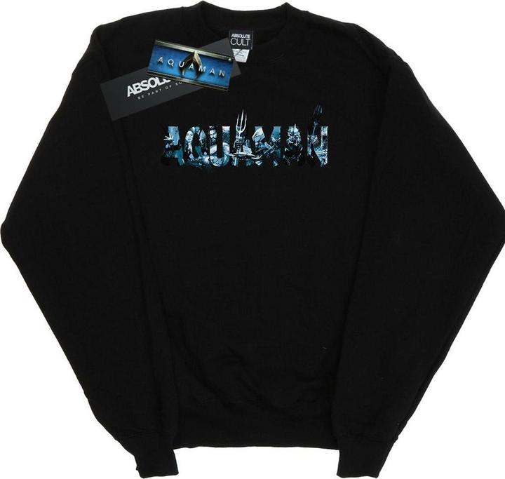 Aquaman Text Logo Sweatshirt (XL)