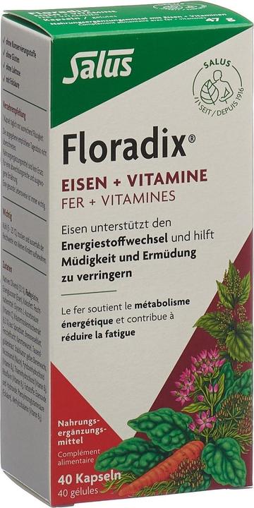 Salus Eisen + Vitamine (1 Stück, Kapseln, 73 g)