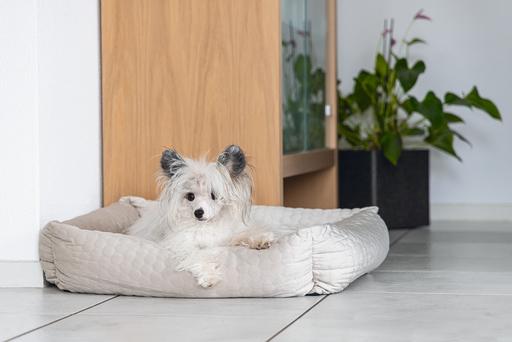 Immagine prodotto Karlie Letto a sdraio in velluto (Cane)