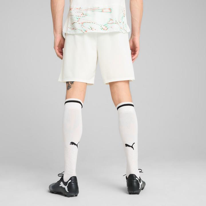 Produktbild Puma FPF Shorts Replica (L)