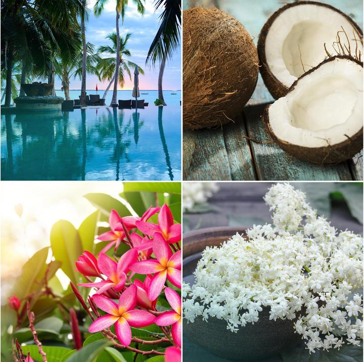 Actual product image Glade Fragrance plug refill Exotic Tropical Blossoms