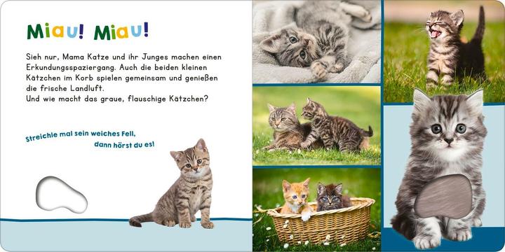 Actual product image Hör mal rein, wer kann das sein? – Meine ersten Tiere (German)
