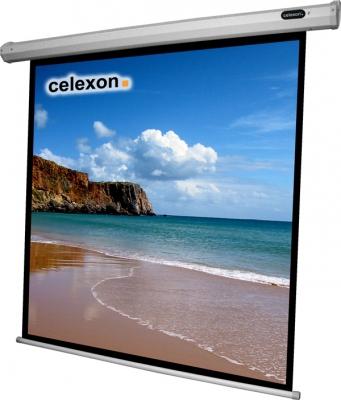 Actual product image Celexon Economy electric screen - screen - ceiling mounting possible, suitable for wall mounting (120", 1:1)